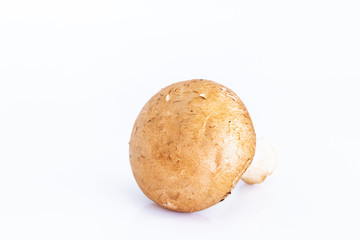 Fototapeta premium Fresh champignon mushrooms on white background, Isolated food and nature object