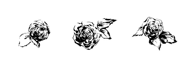 Rose flowers hand drawn set. Plant painting by ink. Sketch botanical vector illustration. Black isolated dog-rose on white background