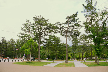 Kyoto - Urban city of japan