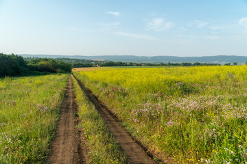 Mountain valley road in summer, panoramic village view at sunset