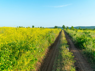 Landscape with dirt road between meadow early in the spring in summer. Colorful nature background 