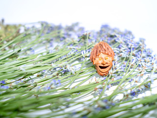 The smiling little man, object from artisanal art, talisman graven from peach pit, on fresh...