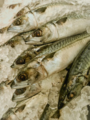 Thai seafood is sold in the morning market.17