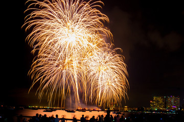 Beautiful colorful fireworks display on the sea beach, Amazing holiday fireworks party or any celebration event in the dark sky.