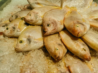 Thai seafood is sold in the morning market.18