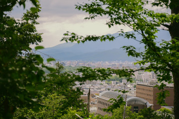 Fototapeta premium the nature of urban japan