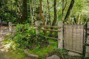 the nature of urban japan