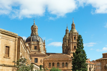 Fototapeta na wymiar Towers of the oldest university in Salamanca