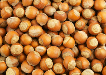 Hazelnuts background