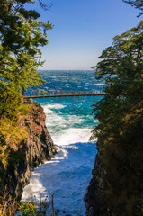 Japan's Izu Suspension Bridge, clear blue sea