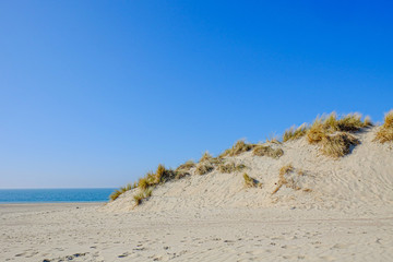 Sea Grass On A White Sand Dunes Beach under a clear blue Sky 