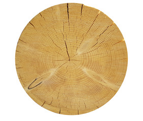 Jahresringe, Maserung, Holzscheibe