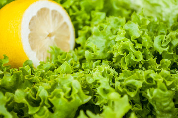 Creative layout of lemon and leaf lettuce. The concept of a healthy diet and detox diet. Selective focus.