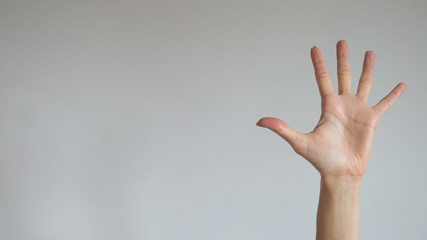 Female hand gesture showing give me five sign. Number five with the fingers. Opened palm facing the...