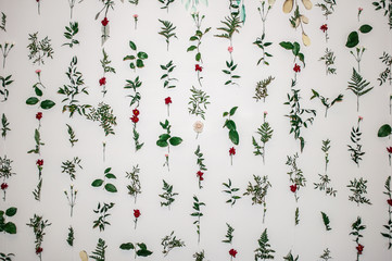 Flowers composition. Garland made of various colorful flowers and branches on white background.