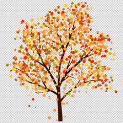 Fototapeta premium Autumn maple