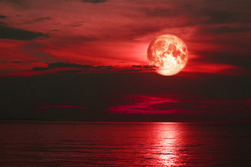 red sturgeon moon back on silhouette cloud on the sunset sky