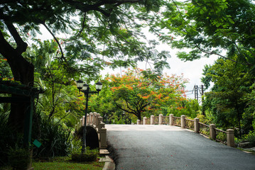 Old Bridge in a park