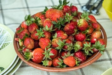 A plate with fresh strawberries, harvested recently. Against the background of the tablecloth.