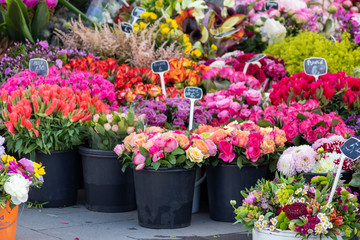 Blumenvielfalt auf dem Wochenmarkt am Marktplatz zeigt die Schönheit der Blumen und Blüten, die...