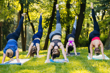 Group of beautiful healthy slimy woman in doing exersices on mat in the green grass in summer...