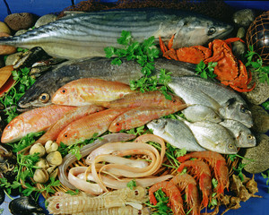 Seafood still life.