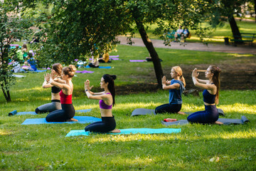 Group of five sporty women practicing yoga lesson with instructor, workout in summer park doing...