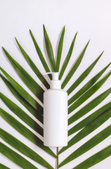 Creative minimalistic cosmetic packaging plastic mock up with palm leaves. Mock-up for branding and label.
