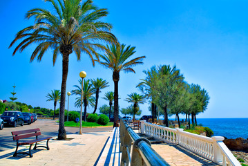 palmeras en paseo marítimo de L´Ametlla de Mar en Tarragona (España)