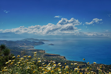 Blick über die Küste Kretas mit Blumen im Vordergrund