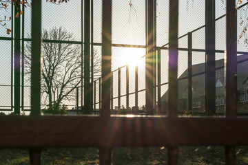 bright sun rays shine through metal fence in city autumn park