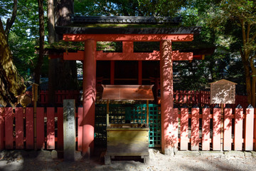 Fototapeta na wymiar 神社　イメージ