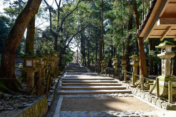 Fototapeta na wymiar 神社　イメージ