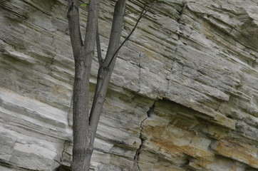 charakter, Szydłów , skały , krajobraz, opoka, drzew, góra, niebo, bory, kamienie, zieleń, blękit, lato, góra, woda, drzew, park, rzeka, podróż, górka, chmura, odsłon, opoka, gras, klif, außenaufnahme