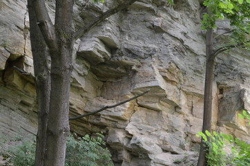 charakter, Szydłów , skały , krajobraz, opoka, drzew, góra, niebo, bory, kamienie, zieleń, blękit, lato, góra, woda, drzew, park, rzeka, podróż, górka, chmura, odsłon, opoka, gras, klif, außenaufnahme