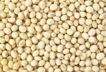 Soy beans texture