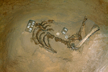 victims osseous remains in the Pandai village massacre memorial, luannan county, hebei province, China