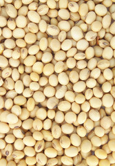 Soy beans background