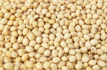 Soy beans background