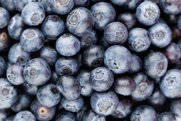 Fresh blueberry background. Texture blueberry berries close up.