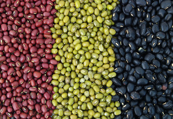 Different types of beans