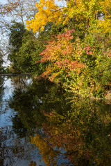 Obraz premium Autumn in the beautiful Carmen de los Martires, Granada (Spain)