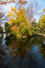Autumn in the beautiful Carmen de los Martires, Granada (Spain)