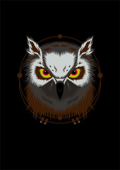 Obraz premium Owl Illustration
