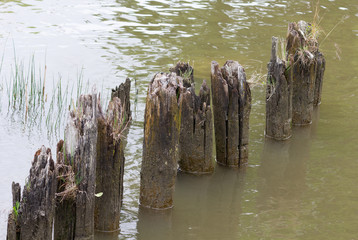Broken logs  in dark water on the place of old pier 