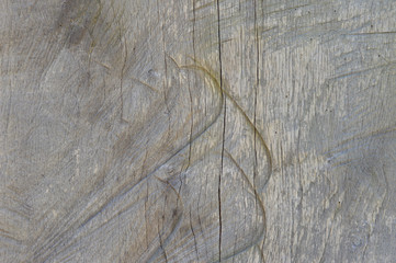 Rough, treated natural oak texture