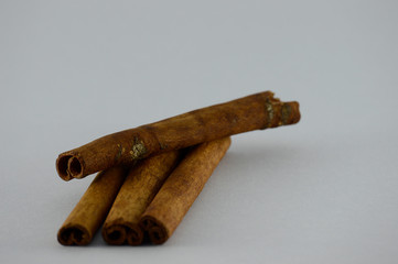 Isolated cinnamon sticks on gray background