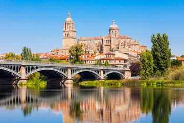 Salamanca Cathedral in Salamanca, Spain - obrazy, fototapety, plakaty