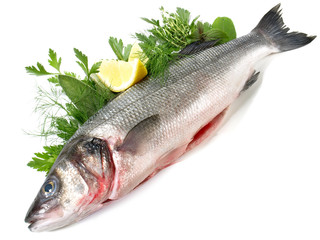Frischer Fisch mit Kräuter - Wolfsbarsch Isoliert