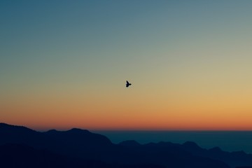 paragliding in mountains